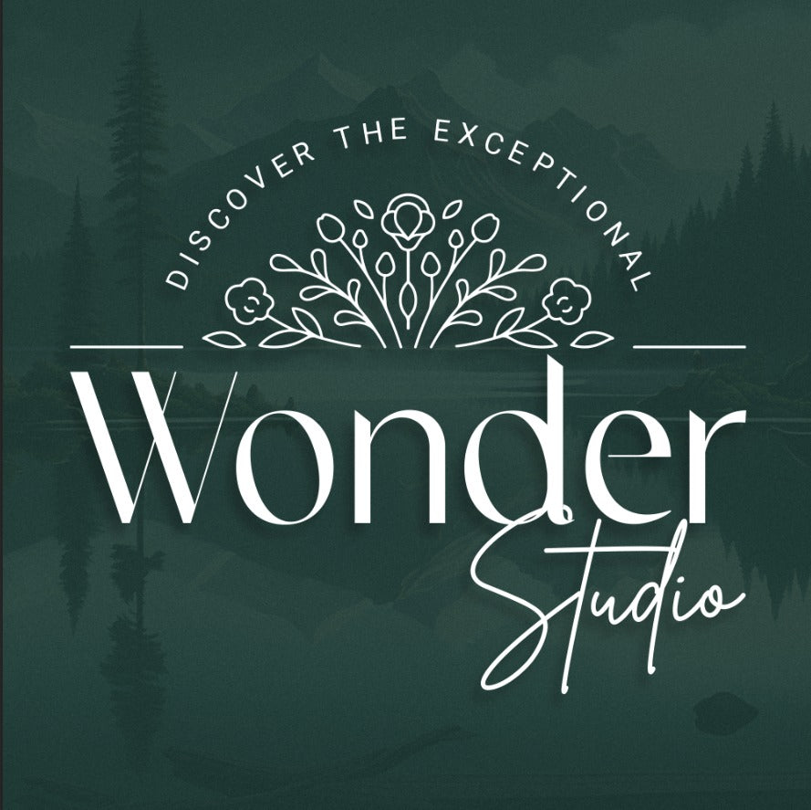 Wonder Studio